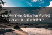 蘑菇视频下载的音量与亮度手势我做了21天记录：看完你就懂了