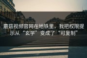 蘑菇视频官网在地铁里，我把权限提示从“玄学”变成了“可复制”