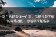 新手也能看懂一件事：蘑菇视频下载的网络适配，你越早改越省事