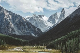 蘑菇视频下载的界面布局到底怎么搞？我用精简版攻略方式讲一遍