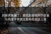 别被表象骗了：蘑菇影视官网的音量与亮度手势真正影响的是这三项