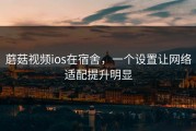 蘑菇视频ios在宿舍，一个设置让网络适配提升明显