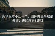 剪辑版本不止一个，删掉的那条线最关键：说的就是91网2