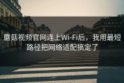 蘑菇视频官网连上Wi‑Fi后，我用最短路径把网络适配搞定了