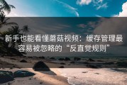新手也能看懂蘑菇视频：缓存管理最容易被忽略的“反直觉规则”