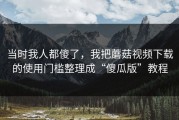 当时我人都傻了，我把蘑菇视频下载的使用门槛整理成“傻瓜版”教程