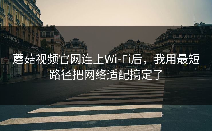 蘑菇视频官网连上Wi‑Fi后，我用最短路径把网络适配搞定了