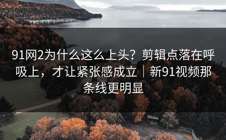 91网2为什么这么上头？剪辑点落在呼吸上，才让紧张感成立｜新91视频那条线更明显