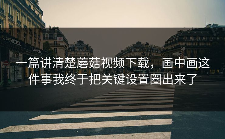 一篇讲清楚蘑菇视频下载，画中画这件事我终于把关键设置圈出来了