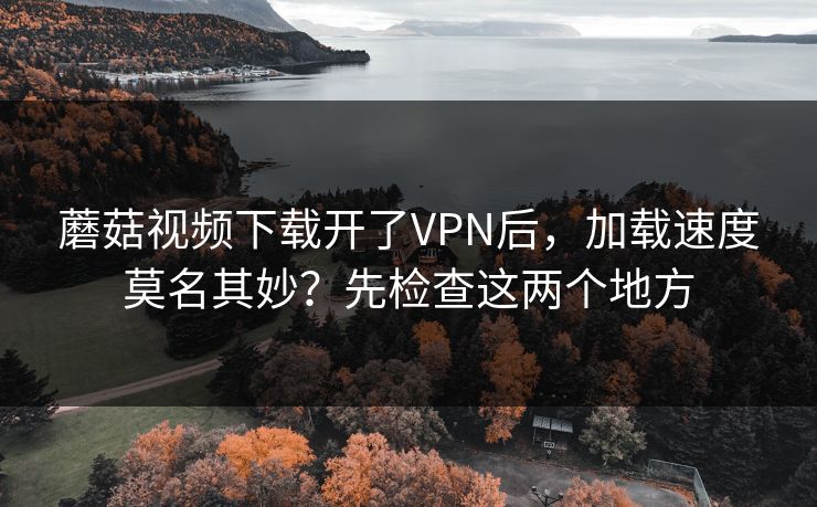 蘑菇视频下载开了VPN后，加载速度莫名其妙？先检查这两个地方