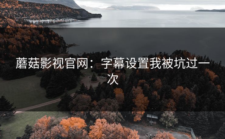 蘑菇影视官网：字幕设置我被坑过一次