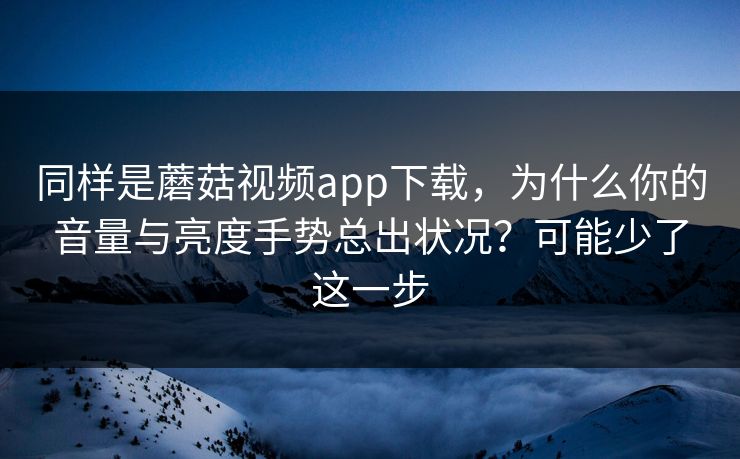 同样是蘑菇视频app下载，为什么你的音量与亮度手势总出状况？可能少了这一步