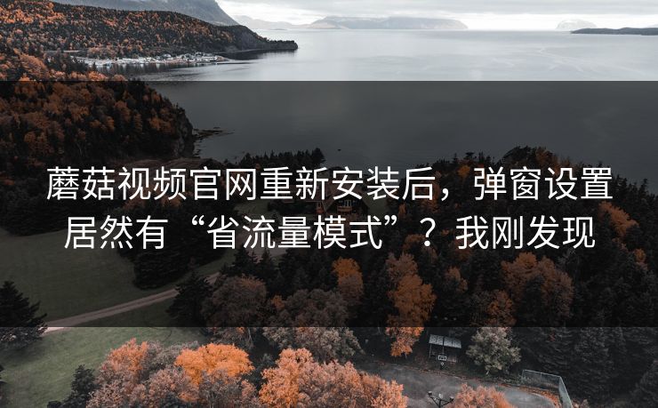 蘑菇视频官网重新安装后，弹窗设置居然有“省流量模式”？我刚发现