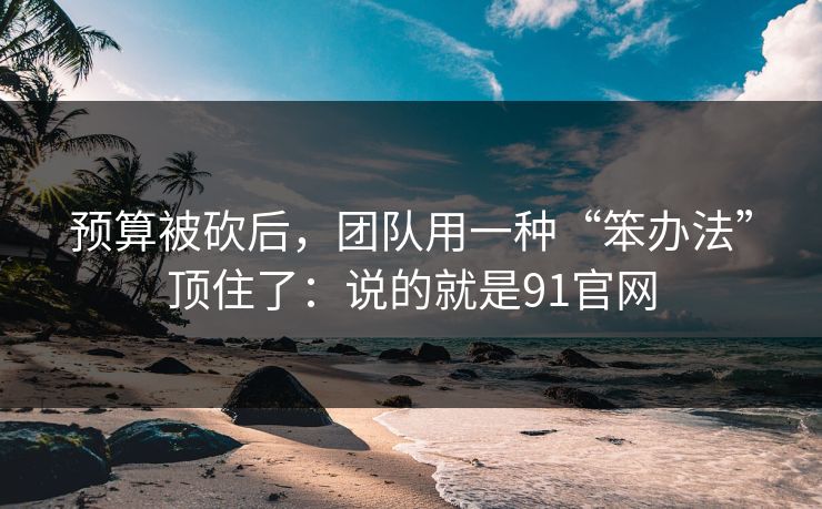 预算被砍后，团队用一种“笨办法”顶住了：说的就是91官网