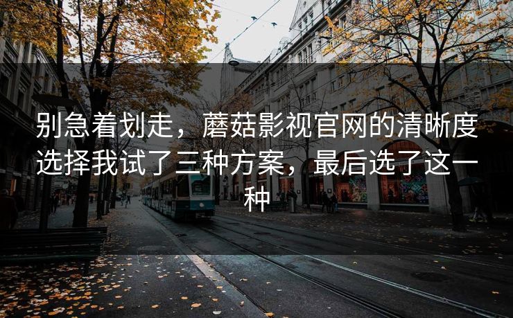 别急着划走，蘑菇影视官网的清晰度选择我试了三种方案，最后选了这一种