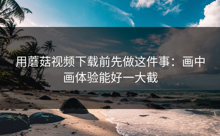 用蘑菇视频下载前先做这件事：画中画体验能好一大截