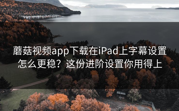 蘑菇视频app下载在iPad上字幕设置怎么更稳？这份进阶设置你用得上