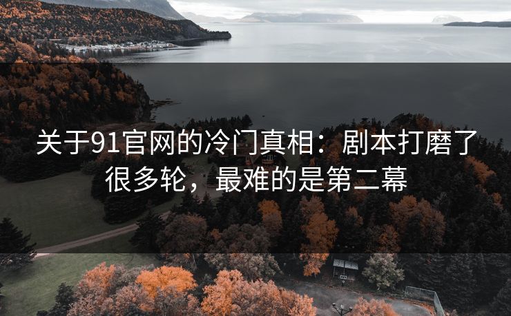 关于91官网的冷门真相：剧本打磨了很多轮，最难的是第二幕
