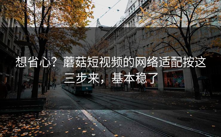 想省心？蘑菇短视频的网络适配按这三步来，基本稳了