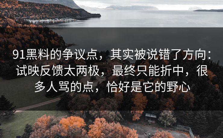 91黑料的争议点,其实被说错了方向:试映反馈太两极,最终只能折中,很多人骂的点,恰好是它的野心 91黑料的争议点,其实被说错了方向:试映反馈太两极,最终只能折中,很多人骂的点,恰好是它的野心