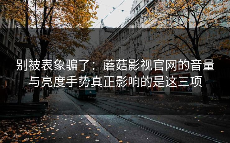 别被表象骗了:蘑菇影视官网的音量与亮度手势真正影响的是这三项 别被表象骗了:蘑菇影视官网的音量与亮度手势真正影响的是这三项